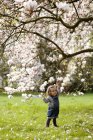 Маленькая девочка, стоящая под цветущим деревом — стоковое фото