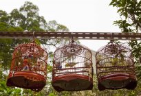 Blick auf Vögel in Käfigen auf dem Vogelmarkt, Hongkong, China — Stockfoto