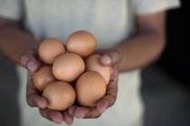 Close up of hands holding eggs — Stock Photo