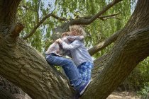 Due fratelli che si abbracciano tra gli alberi della foresta — Foto stock