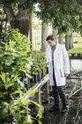 Cientista que carrega laptop examinando plantas em instalações de pesquisa de crescimento de plantas — Fotografia de Stock