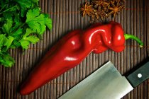 Close up de pimenta vermelha com salsa e helicóptero — Fotografia de Stock