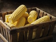 Свежие органические овощи, нежная сладкая кукуруза в ящике — стоковое фото