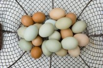 Eggs in shopping basket — Stock Photo