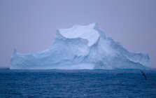 Айсберг серед льодовикового потоку в південному океані — стокове фото