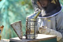 Apicoltore femminile e fumatore d'api sulla trama della città — Foto stock