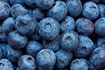 Bunch of ripe blueberries — Stock Photo