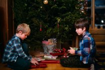 Deux frères ouvrant cadeaux de Noël — Photo de stock