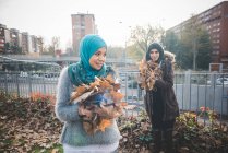 Дві молоді жінки друзі збирають осіннє листя в парку — стокове фото