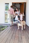 Cane in piedi su un patio di legno — Foto stock