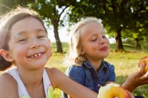 Дівчата сміються їдять яблука на відкритому повітрі — стокове фото