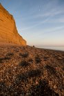Пляж Шингл и скалы в сумерках, Бертон Бредсток, Дорсет, Великобритания — стоковое фото