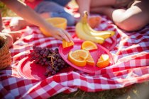 Children on picnic with fruits on blanket — Stock Photo