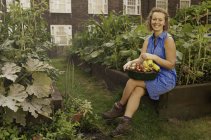 Молодая женщина с собранными овощами на усадьбе совета — стоковое фото