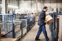 Male warehouse worker lifting cardboard box onto distribution trolley — Stock Photo