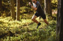 Man trail running in forest, Keimiotunturi, Lapland, Finlândia — Fotografia de Stock
