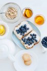 Toasts with blueberries on plate — Stock Photo