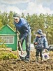 Father and toddler son digging allotment in garden — Stock Photo