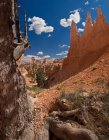 Vue du canyon de Bryce — Photo de stock
