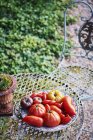 Seleção de tomates diferentes em prato — Fotografia de Stock