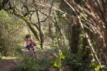 Mountain bikers andando através da floresta — Fotografia de Stock