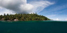 Palm trees on tropical island — Stock Photo