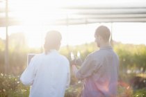 Scientist and worker in plant nursery, looking at bottles — Stock Photo