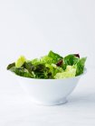 Feuilles de salade mélangées dans un bol blanc — Photo de stock