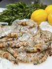 Close-up view of fresh delicious seafood on ice with lemons — Stock Photo
