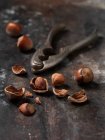 Nutcracker with hazelnuts on shabby surface — Stock Photo