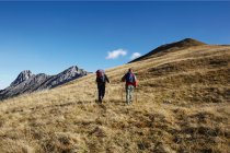 Vista posteriore di amici godendo di passeggiata in collina nel paesaggio montano — Foto stock