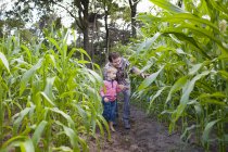 Фермер и сын в поле зерновых культур — стоковое фото