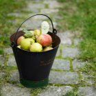 Pail of apples on cobblestone walk — Stock Photo