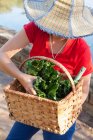 Mujer con la cara oscurecida llevando cesta de verduras - foto de stock
