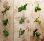 Selection of fresh green herbs on rustic wooden surface — Stock Photo