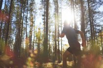Man trail running in forest, Keimiotunturi, Lapland, Finland — Stock Photo