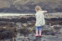 Жіночий малюк рибальські в рок басейнів на пляжі, Crackington раєм, Корнуолл, Великобританія — стокове фото
