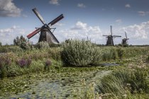 Windmills and canal marsh, Kinderdijk, Netherlands — Stock Photo