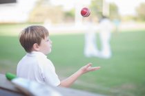 Мальчик ловит крикетный мяч — стоковое фото