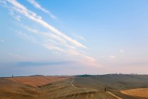 Getreidefelder in der ländlichen Landschaft — Stockfoto