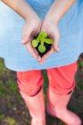 Woman holding sprout in dirt — Stock Photo