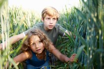 Niña y niño escondidos en un campo de trigo - foto de stock