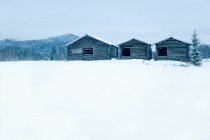 Дерев'яні будинки в засніженому полі — стокове фото