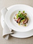 Assiette de poitrine de canard avec salade — Photo de stock