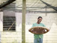 Trabajador de café Procesando granos de café - foto de stock