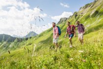 Amici maschi escursioni, Tirolo, Austria — Foto stock