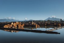 Logs floating in lake, Vancouver, British Columbia, Canada — Stock Photo
