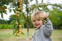 Мальчик собирает фрукты с дерева, сосредоточиться на переднем плане — стоковое фото