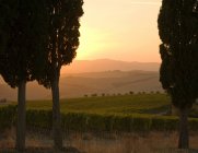 Evening view of Valle D'Orcia — Stock Photo