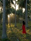 Woman wearing red dress walking in forest of palm trees — Stock Photo